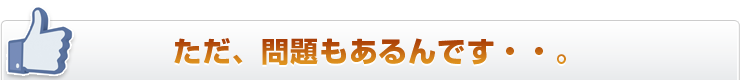ただ、問題もあるんです